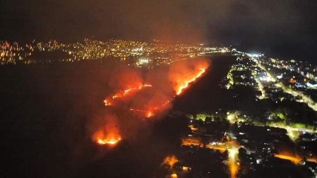 Huánuco: Controlan incendio forestal en alrededores del aeropuerto de Tingo María