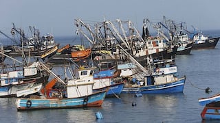Frente Nacional de Pesca: Barcos chinos pescan sin licencia en mar peruano