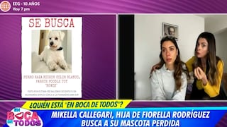 Hija de Fiorella Rodríguez llora en vivo al hablar de su mascota perdida: “Se me parte el corazón”