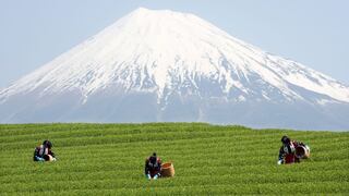 FOTOS: El monte Fuji entre los nuevos patrimonios de la humanidad