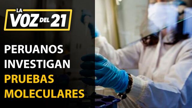 Peruanos investigan pruebas moleculares de rápido diagnóstico