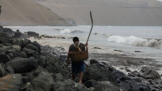 Sanipes: reabren playas de Ancón para la extracción de moluscos tras descartar restos de petróleo