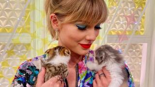 Los gatos de Taylor Swift tienen una afección que les causa dolor constante. ¿De qué raza son?
