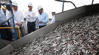 Produce espera evaluaciones de Imarpe para decidir inicio de temporada de pesca