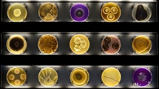 Micropia, el primer zoológico interactivo de microbios [Fotos y video]