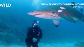 Chris Hemsworth analizará los ataques de tiburones en National Geographic