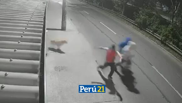 Perrito 'Dante' frustró un robo en Bogotá. (Foto: Twitter)