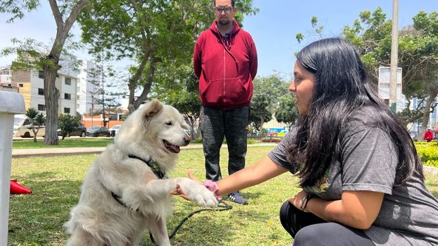 Brigada Canina dará clases gratuitas de adiestramiento para mascotas en Pueblo Libre