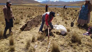 Cusco: Midagri inicia acciones para recuperar praderas que beneficiarán a más de 3,500 agricultores