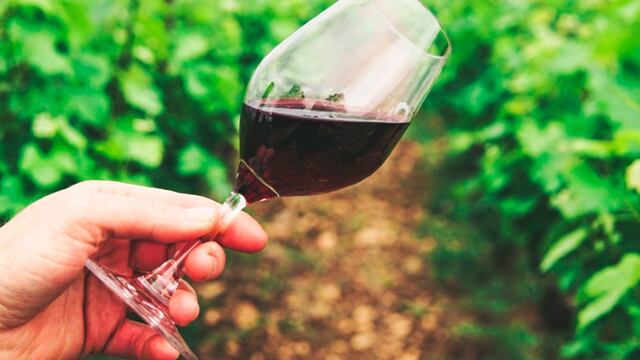 Mercado peruano es atractivo para el sector de vinos