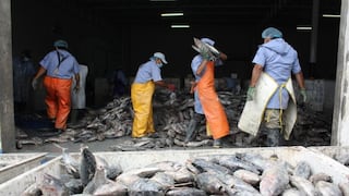 Unos 60 mil trabajadores de la industria pesquera perderían sus empleos si gravan más impuestos, según gremio