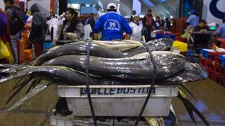 La pesquería de perico genera US$ 90 millones al año para Perú