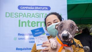 Vacunapet: perros y gatos podrán ser vacunados con disfraces este miércoles 29 en Surco