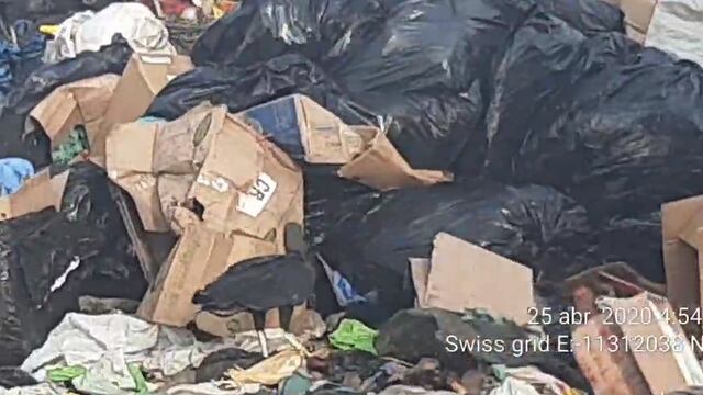 Chiclayo: PNP interviene camión por contaminar arrojando media tonelada de basura hospitalaria en botadero | VIDEO