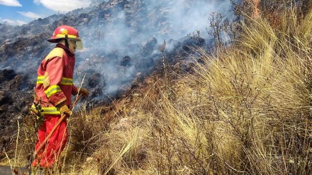 Minam exige sanciones contra causantes de incendios forestales: “Si hay un delito ambiental, que se pague”
