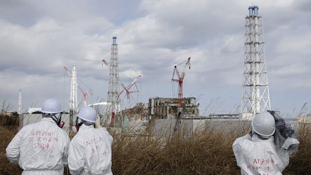 Desastre en Fukushima fue error humano