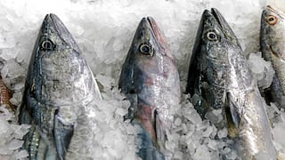 Ministerio de la Producción establece veda en la pesca del bonito para el año 2021