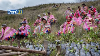 Iniciativa que rescata bosques andinos en Perú es reconocida por la ONU y por el Príncipe William
