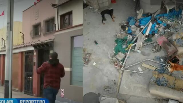 Miraflores: Dos perritos viven en condiciones precarias  y abandonados en una azotea