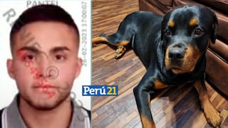 Trujillo: Vecino mató a cachorro de cuatro balazos en pleno parque [VIDEO]
