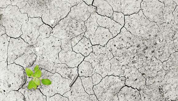 “Todo apunta a que de mantenerse la crisis climática y medioambiental, no solo se dé una disminución significativa del PBI mundial para 2030, sino que esto tendrá un efecto directo en la economía familiar”. (Foto: Pixabay)