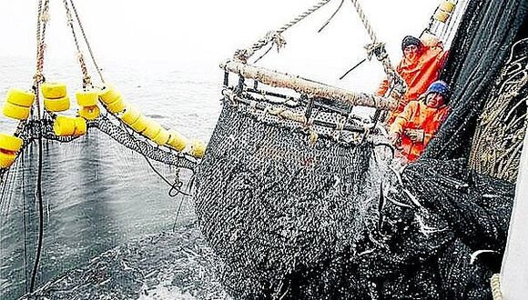 Los desembarques de anchoveta correspondientes a la primera temporada de pesca industrial (...) ya alcanzaban el 95% de la cuota, señala el columnista.