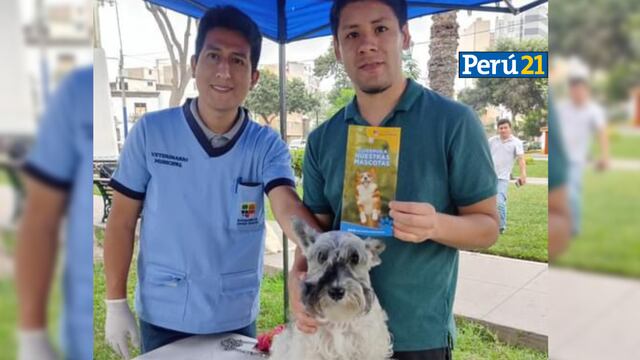 Jesús María: Campaña veterinaria gratuita, feria de mascotas y jornada de adopción