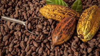 ¿Por qué se celebra HOY el Día Mundial del Cacao y cuáles son sus beneficios?