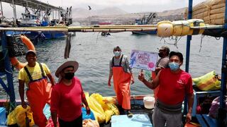 Moquegua: brigadas de salud vacunaron contra el COVID-19 a trabajadores del desembarcadero pesquero de Ilo