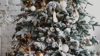 No te lo pierdas: Este viernes se encenderá árbol de navidad sostenible en el Real Plaza Salaverry