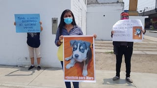 Defensores de los animales protestan frente a veterinaria de Surco y hacen grave denuncia