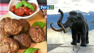 ¿Lo comerías? Empresa australiana propone vender albóndigas de mamut
