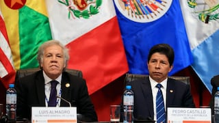 Castillo recurre a la OEA en busca de detener investigaciones en su contra