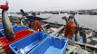 Bono pescadores: Produce tiene identificados a 2,500 trabajadores que serán beneficiarios