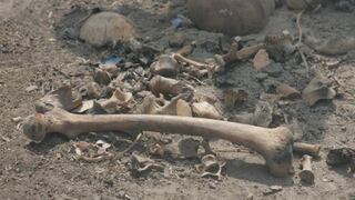 Paralizan obras donde se encontraron restos óseos