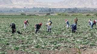Segunda Reforma Agraria inicia este 3 de octubre con tecnificación e industrialización del agro