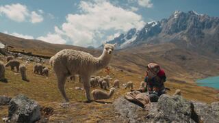 ‘Raíz’: Presentan el primer tráiler de película peruana que participará en Festival de Berlín