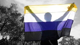 Argentina: 528 personas cambiaron su DNI a ‘no binario’ tras un año del decreto que amplió la ley de Identidad de Género