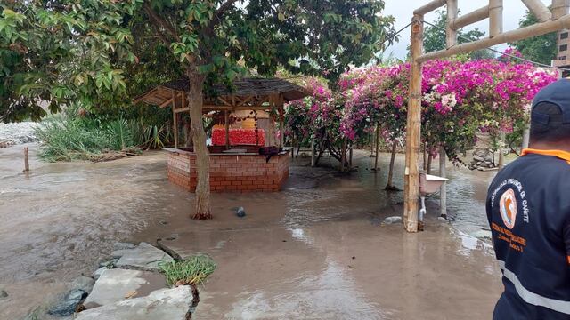 Río Mala se desborda y destruye 10 hectáreas de cultivos en Calango