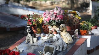 España abrió su primer cementerio público de mascotas | FOTOS 