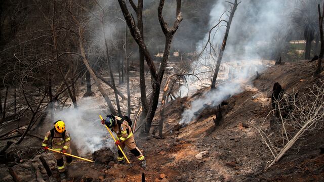 La cifra podría crecer: Aumentan a 99 los muertos por los incendios forestales en Chile