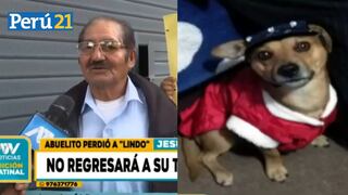 Abuelito arequipeño busca desesperadamente a su perrito perdido en Jesús María: “Es mi mejor amigo”