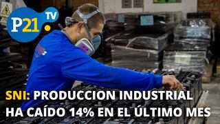 Luis Salazar: Producción industrial ha caído 14% en el último mes