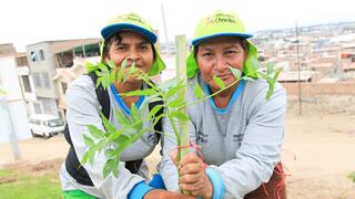 Chorrillos siembra 3 mil árboles en el Día Internacional de los Bosques
