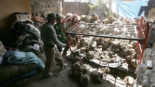 Arequipa: Unas 15 viviendas quedaron inhabitables tras sismo de 6.9 grados