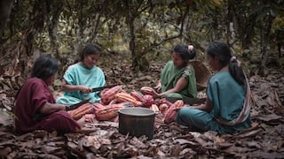 Kemito Ene, el emprendimiento asháninka que triunfa en el mercado mundial de cacao y café