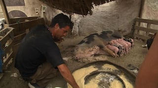 Mira cómo Pancho Cavero auxilia a animales afectados por los huaicos [Fotos]