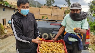 Productores peruanos exportan por primera vez pulpa de aguaymanto congelado a Suiza  