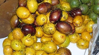 Umarí: Conoce el popular fruto conocido como la mantequilla vegetal de la selva