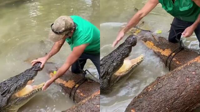 El encuentro cara a cara entre un aventurero y un enorme cocodrilo de 4 metros